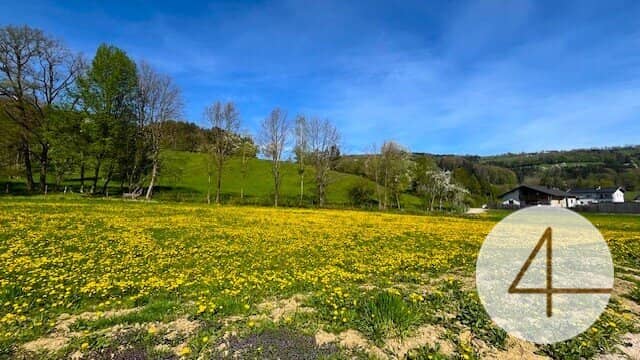 Apfelbaumblüte vor Ihrem Haus im schönen Mostviertel - Baugründe in wunderschöner, sonniger Lage!