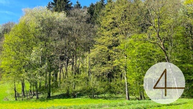 Baugrundstück 937 m² in Perwarth