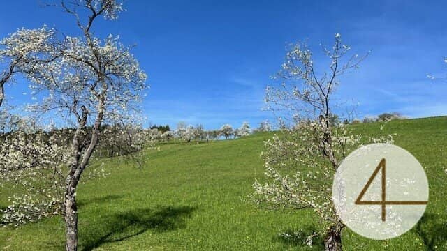 Baugrundstück 937 m² in Perwarth