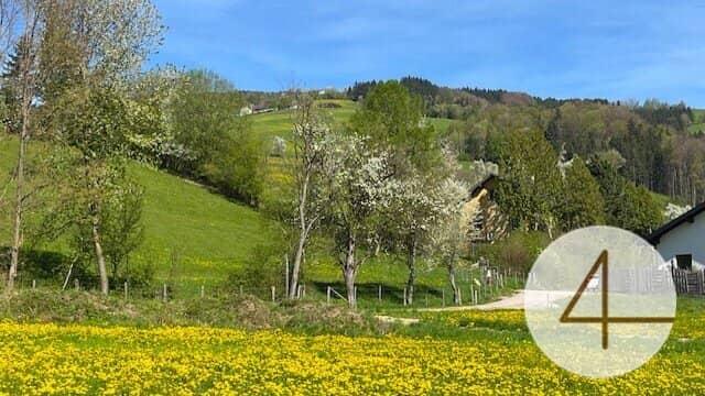 Baugrundstück 937 m² in Perwarth