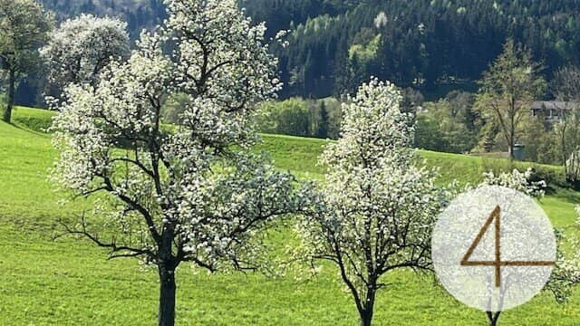 Individuelle Doppelhaushälfte in Perwarth