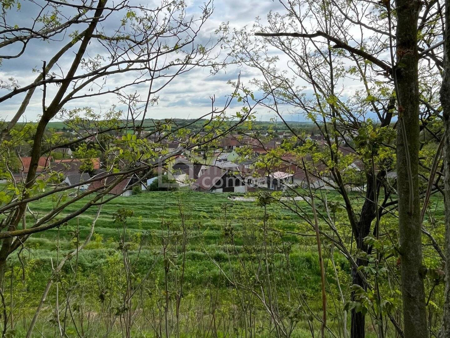 Hidden Treasure in Reintal a Weinviertel residential jewel with potential