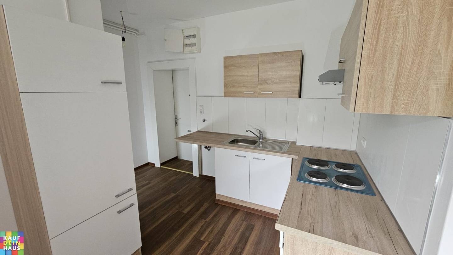Freshly renovated 1-room apartment with kitchen