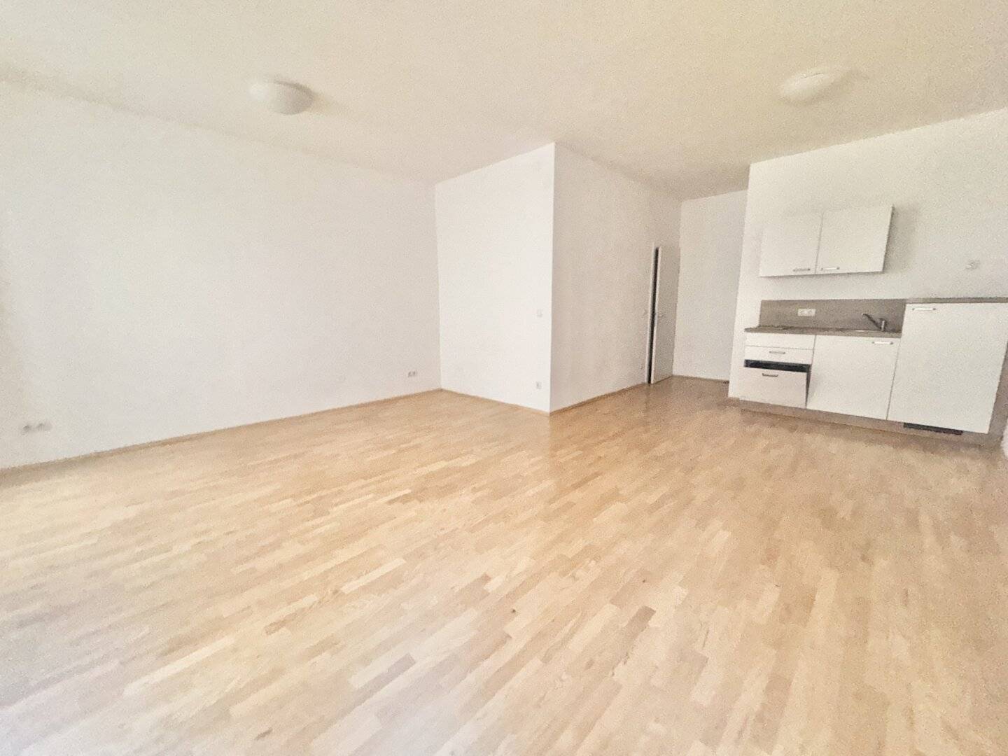 Apartment in renovated old building central location