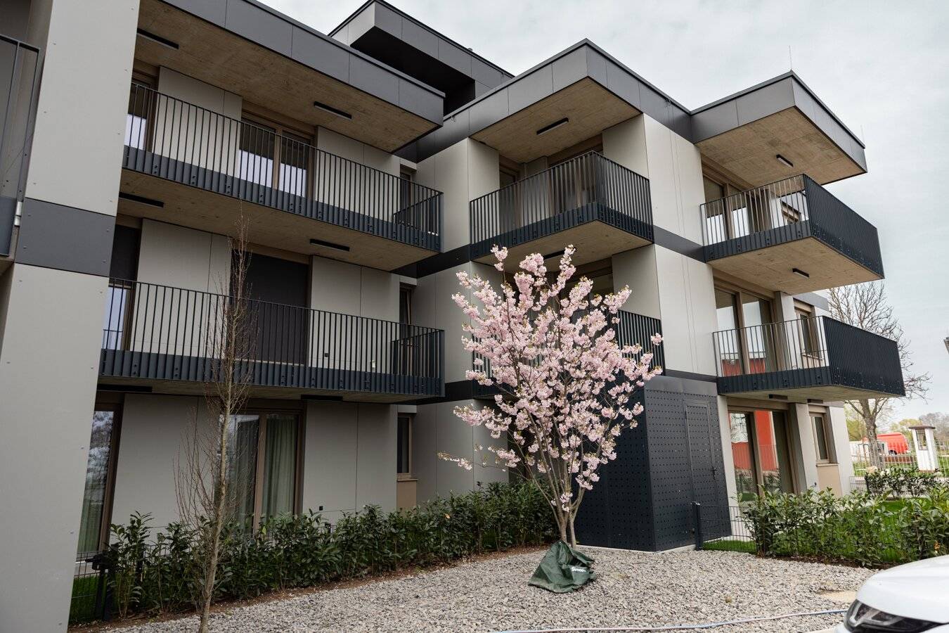 Wohnung mit Garten und Terrasse in Grünruhelage