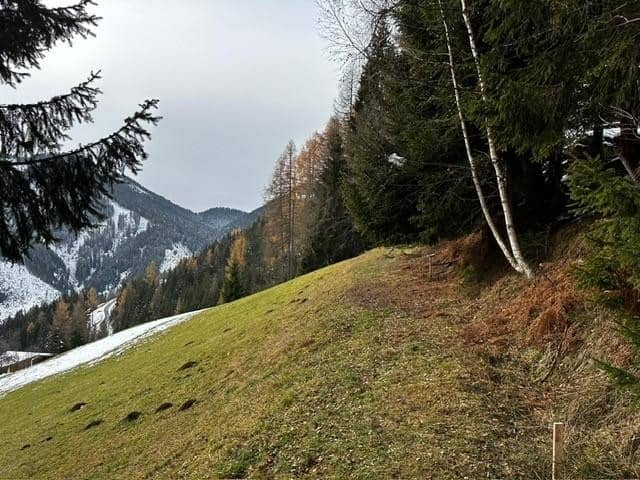 Grundstück in Hüttau im Fritztal   auf  ca 1400 Meter inkl. genehmigten Plan für ein Landhaus (Chalet)