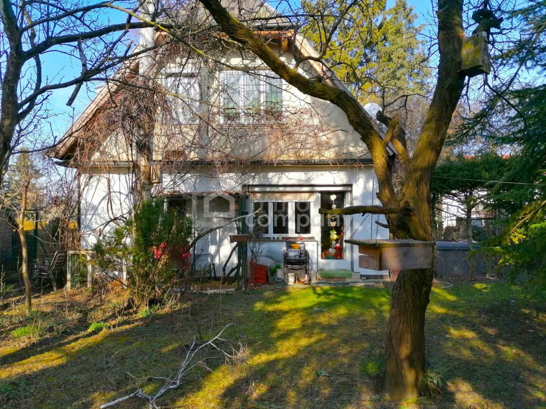 Immobilienbild 3