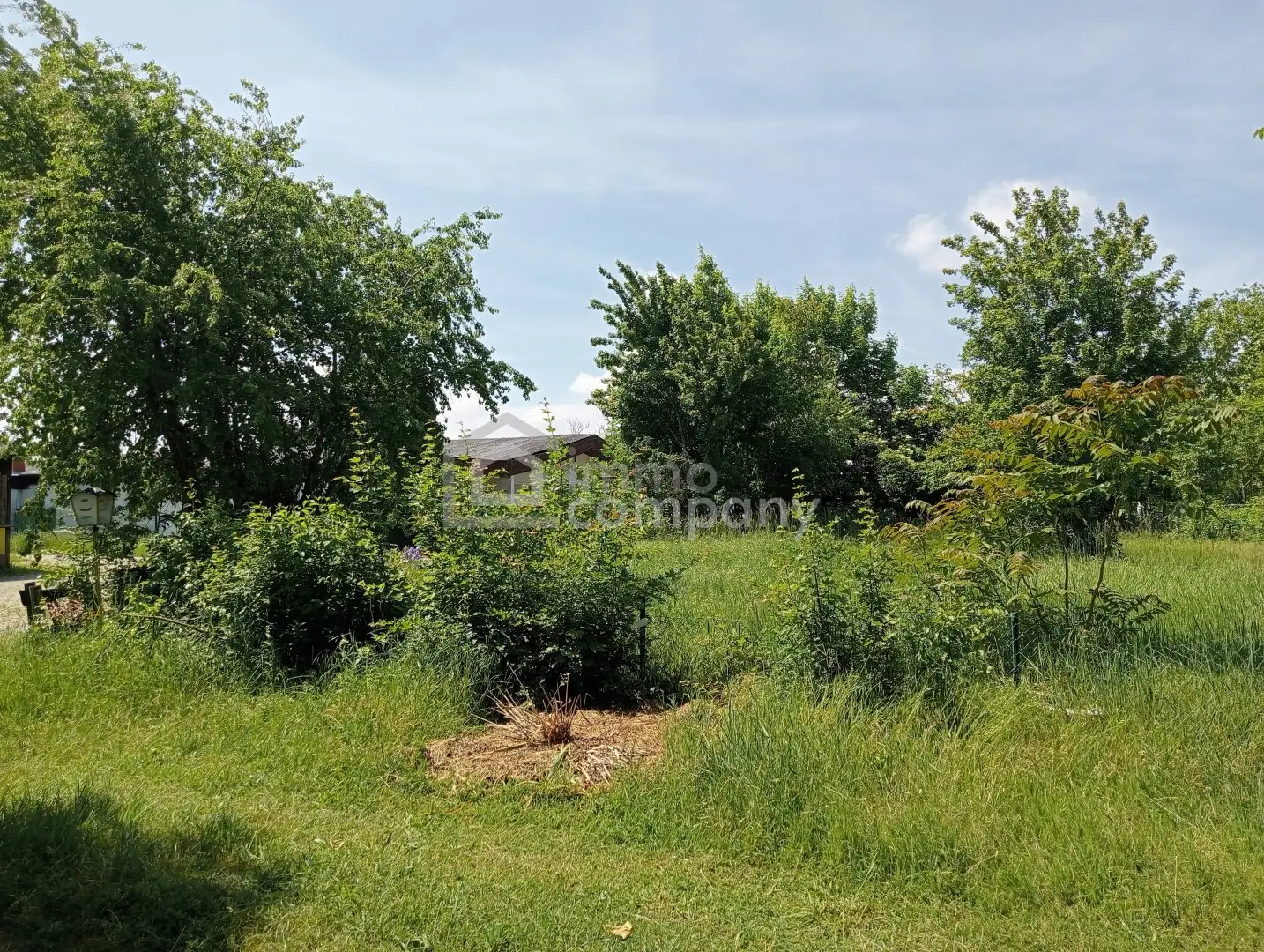 Property at Zicksee in Burgenland