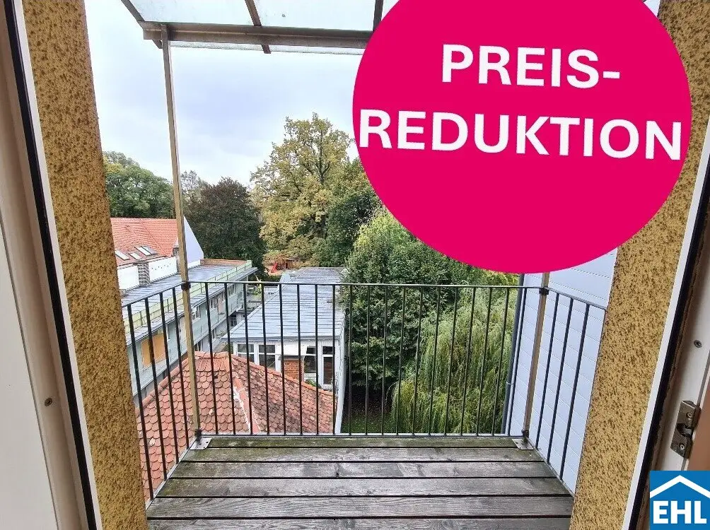Altbauwohnung hell Lift nahe Volksgarten