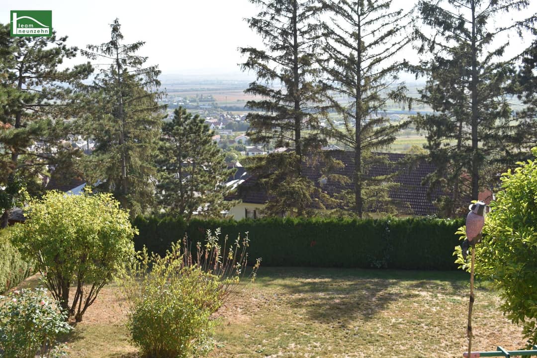 Immobilienbild 4