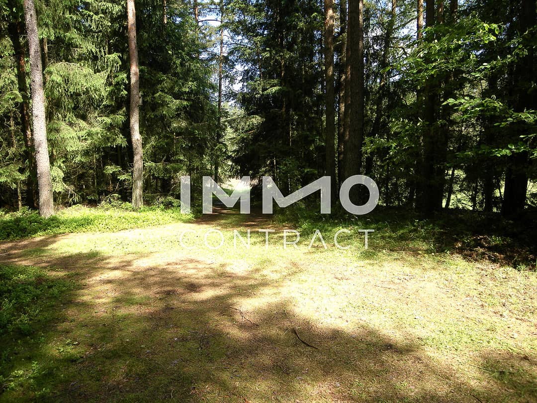 IMGP0094