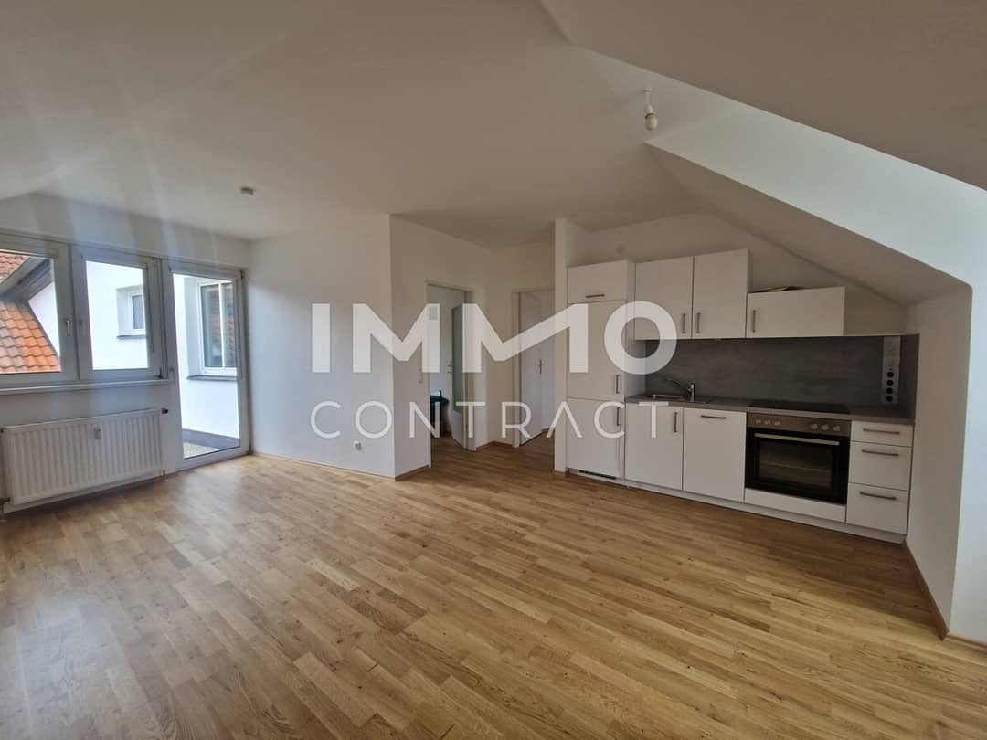 Apartment near thermal spa with roof terrace and new kitchen