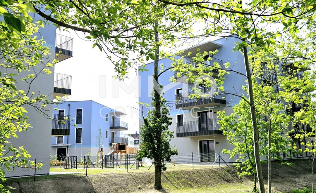 Immobilienbild 4