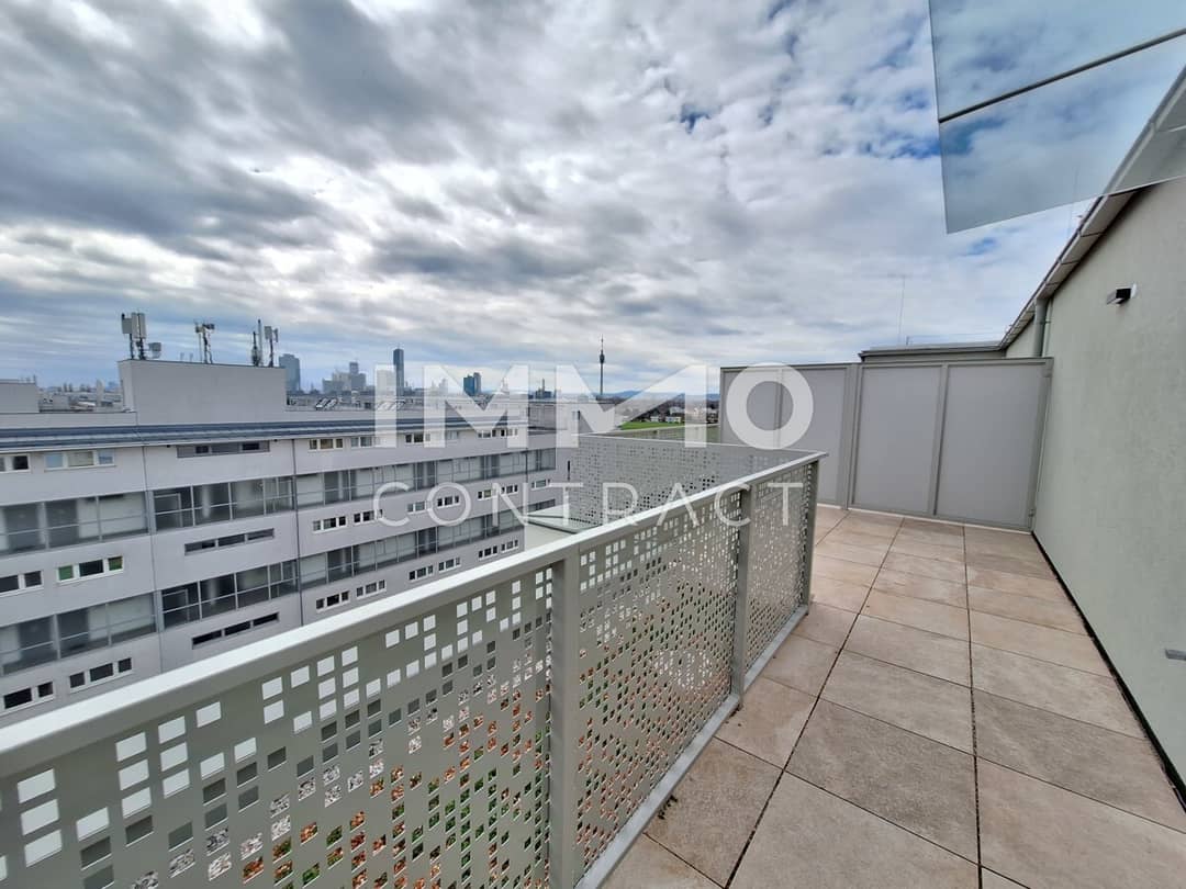 Apartment first occupancy near Old Danube