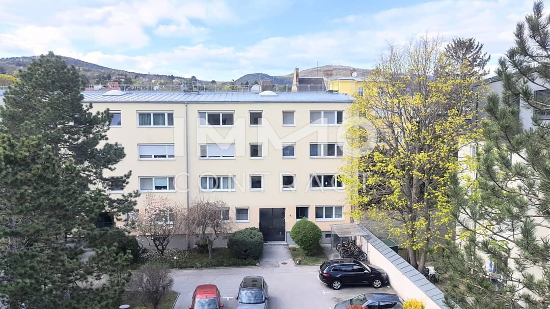 ruhige sonnige Wohnung nahe Zentrum
