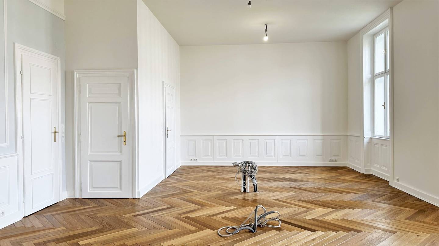 Wohnung mit unverbaubarem Blick im Herzen Wiens