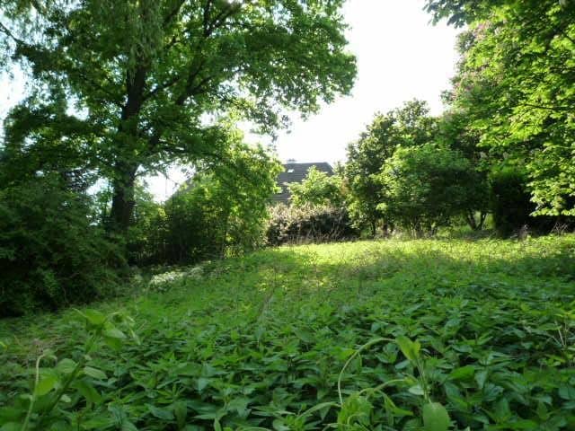 Baugrundstück ohne Bauzwang in Raab - 1166 m² mit Baumbestand