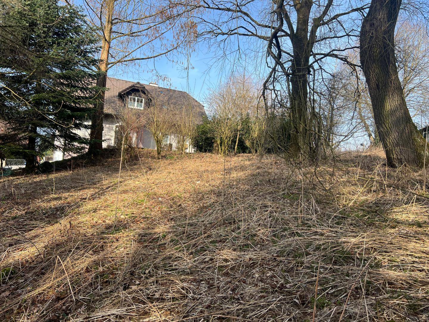 Baugrundstück ohne Bauzwang in Raab - 1166 m² mit Baumbestand