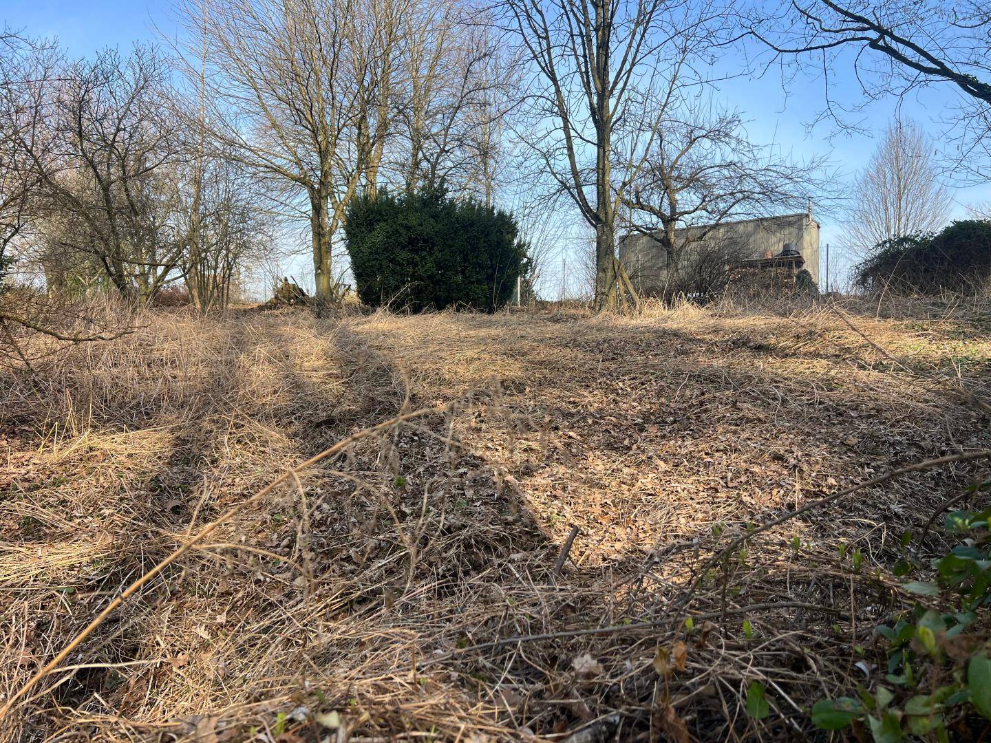 Baugrundstück ohne Bauzwang in Raab - 1166 m² mit Baumbestand
