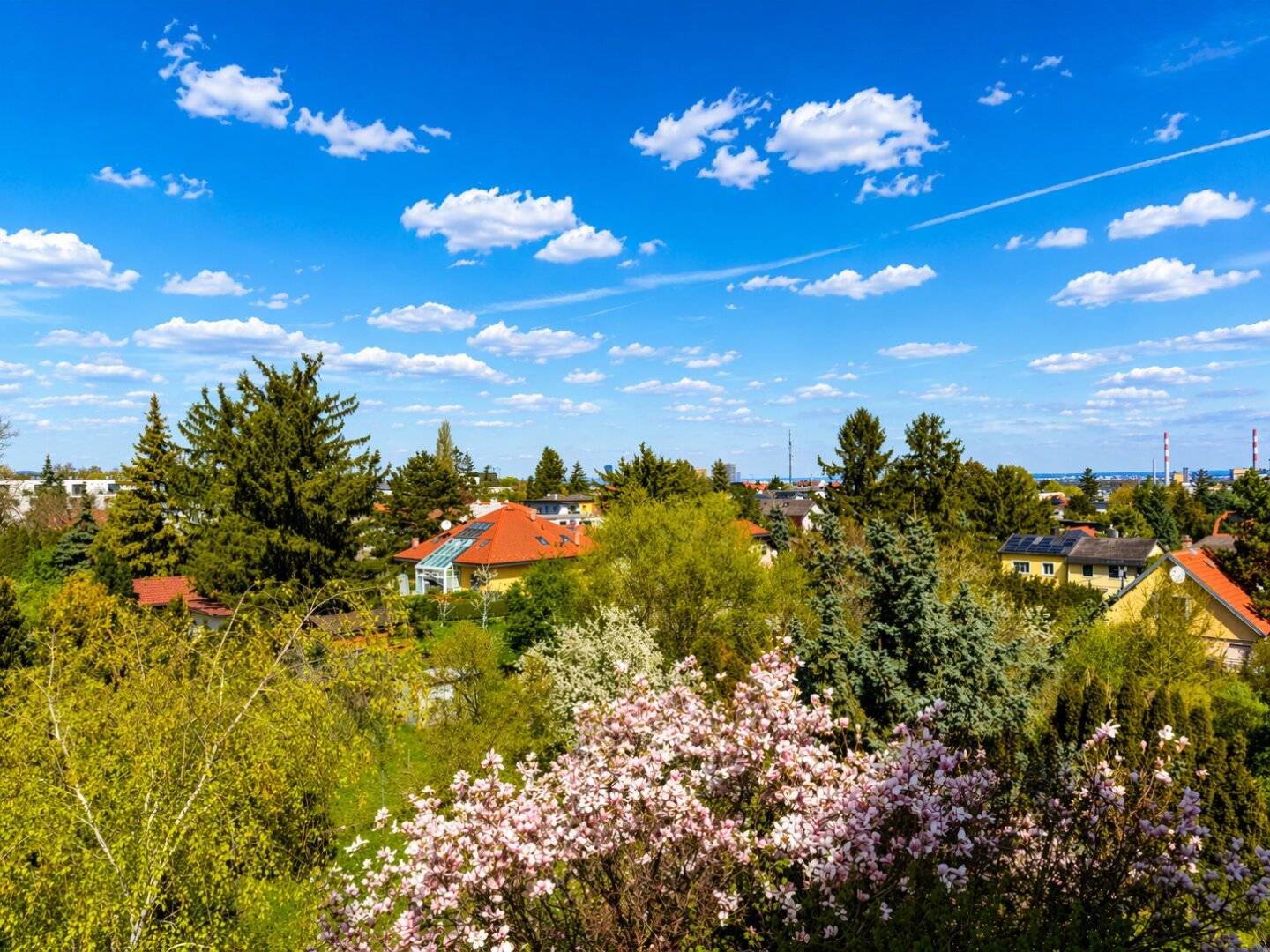 Green Living – Neubauprojekt Heimkehrergasse 29