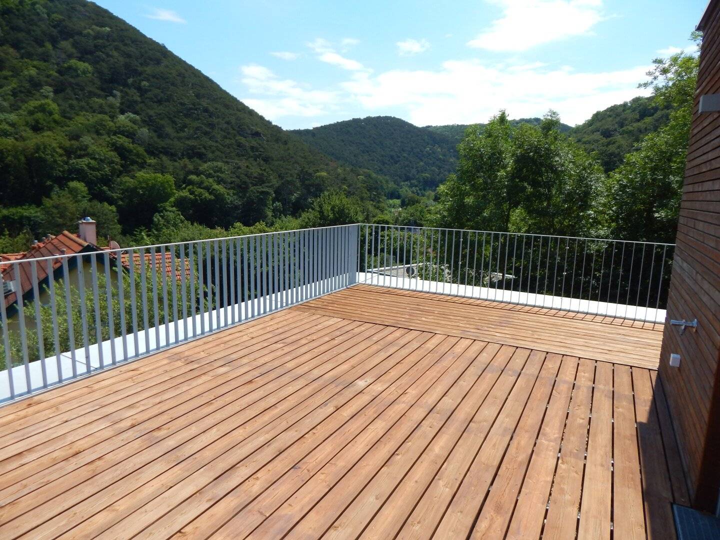 Exclusive Villa with private lift, pool and green view in Hinterbrühl - New build first occupancy