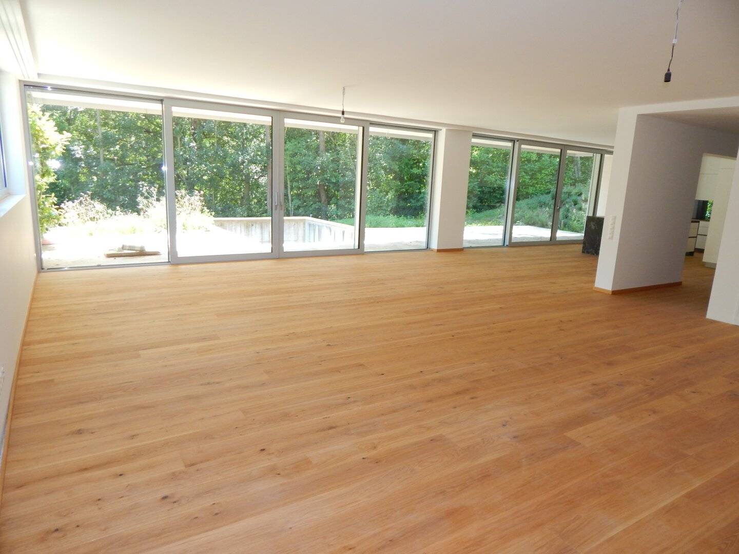 Exclusive Villa with private lift, pool and green view in Hinterbrühl - New build first occupancy