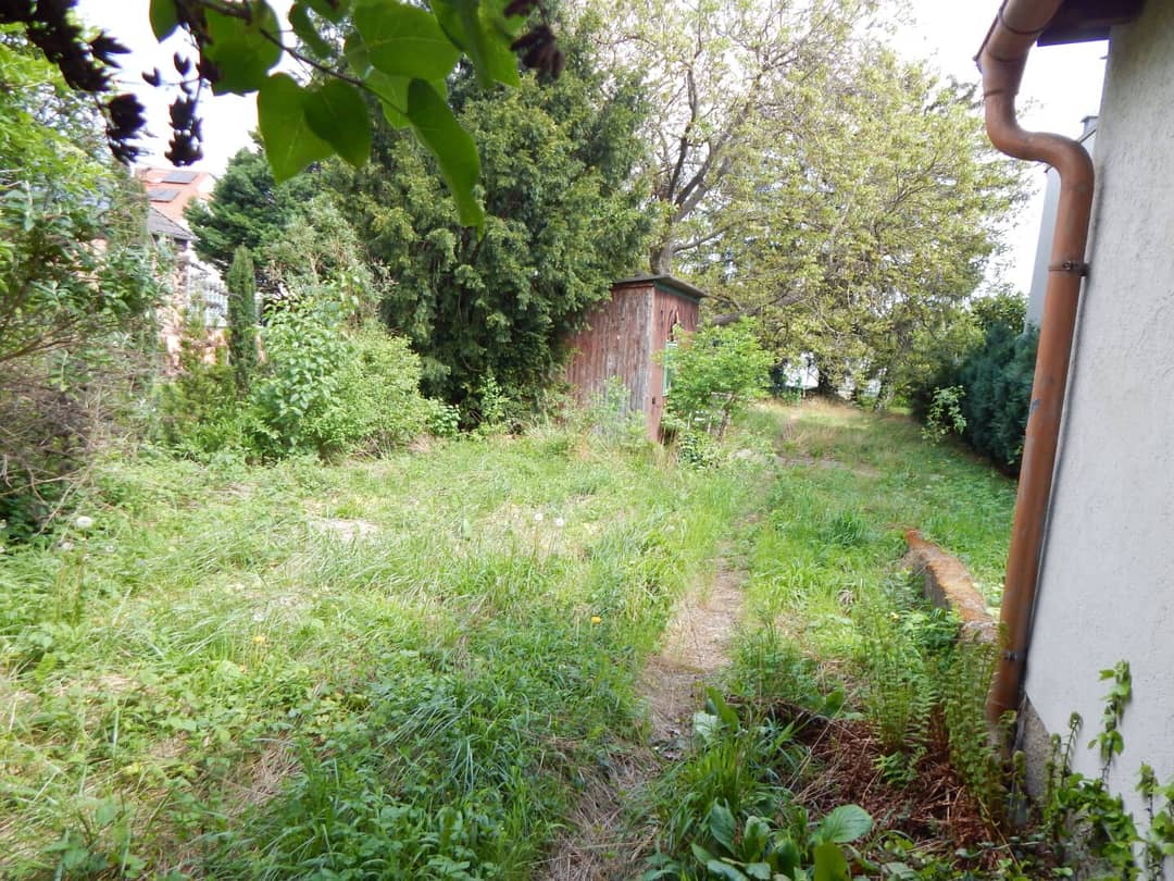 Immobilienbild 4