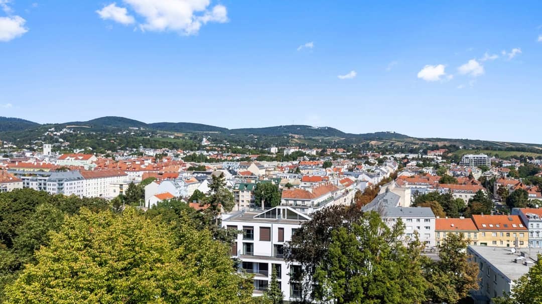 Aussicht Pick DG1