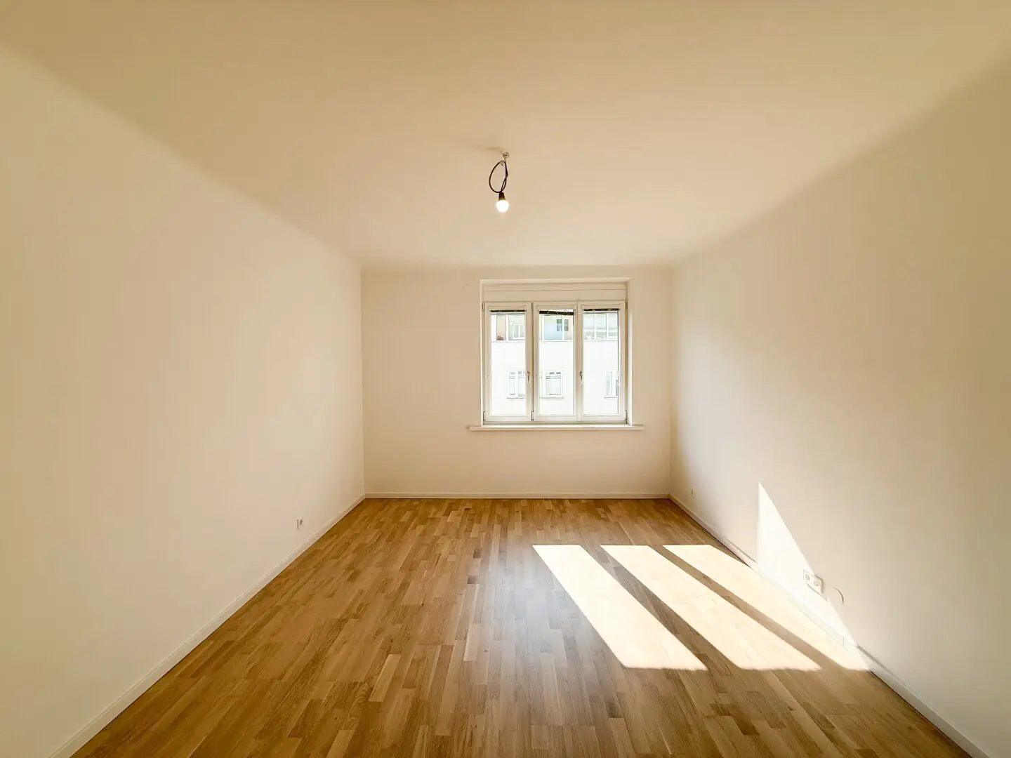 Immobilienbild 3