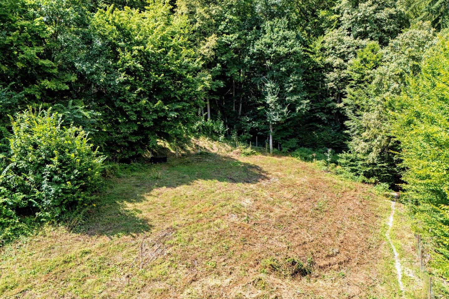 Elevated 911 m² building plot with 5,000 m² private woodland in Stattegg
