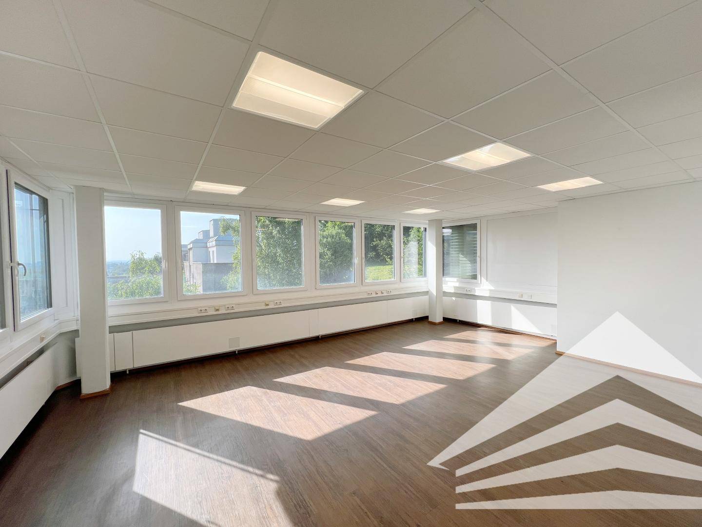 Helles Büro am Froschberg mit Blick ins Grüne!