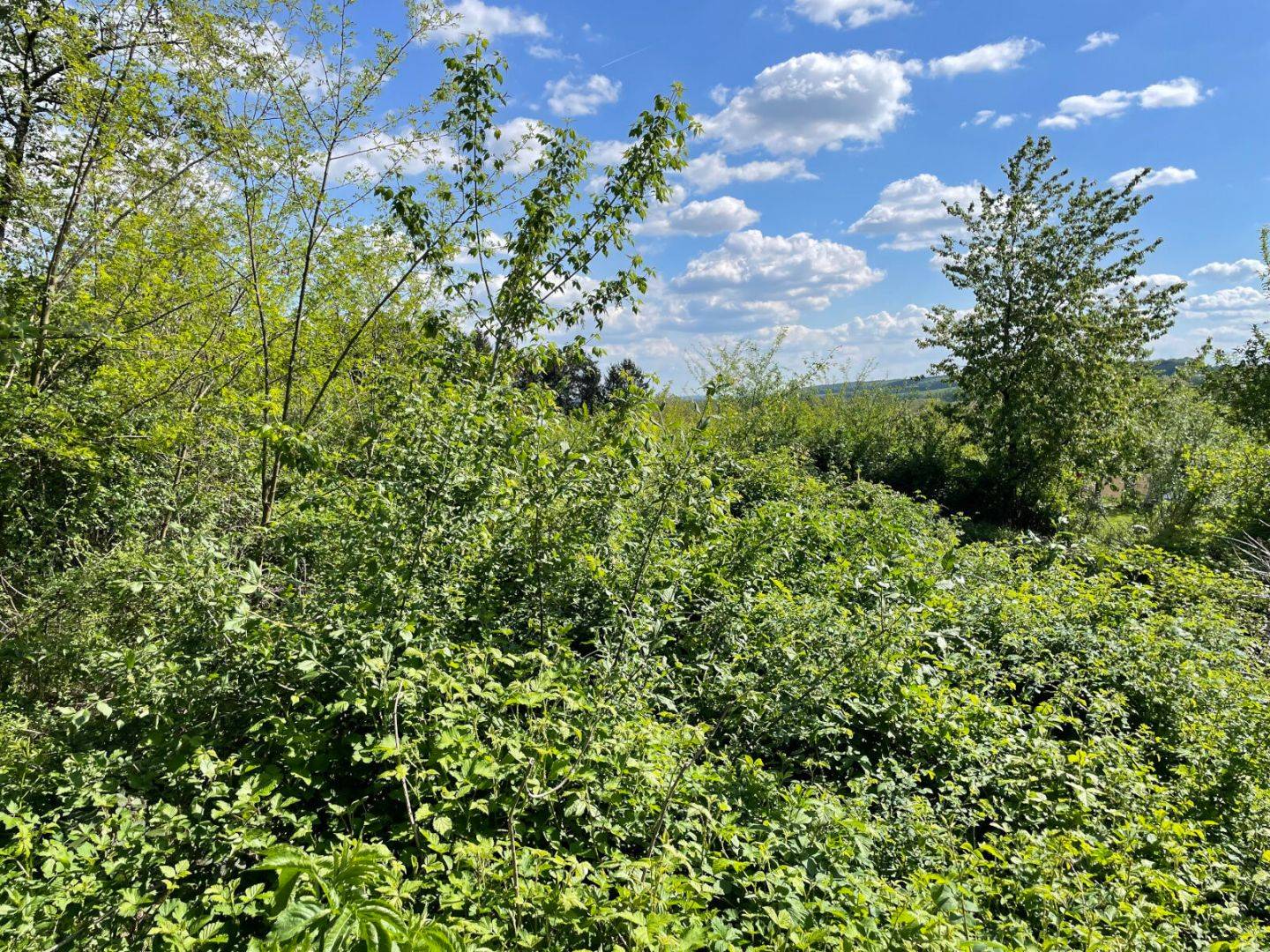 Baugrund in Aussichtslage in Altschlaining – 1618 m², voll erschlossen