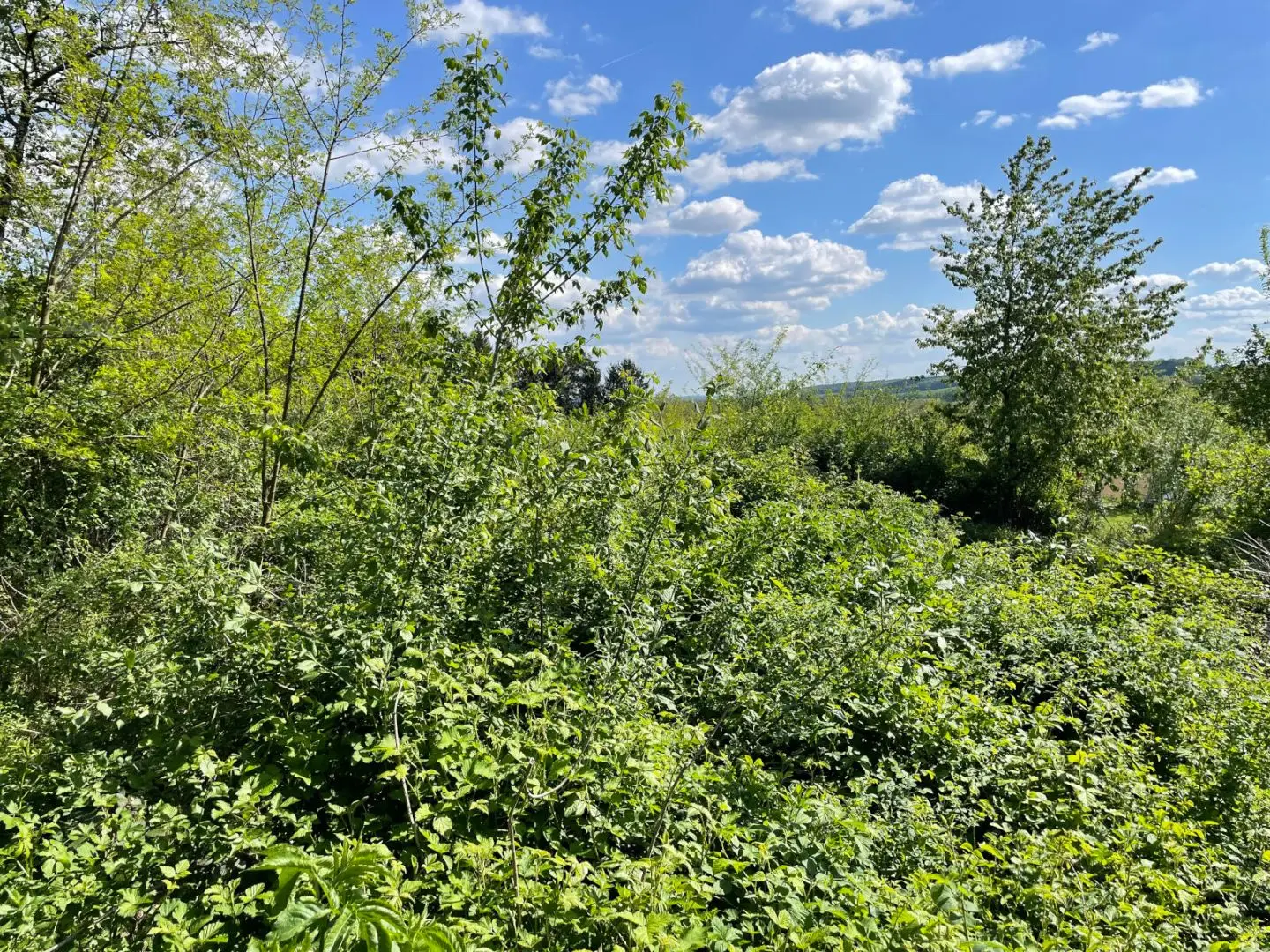 Baugrund in Aussichtslage in Altschlaining – 1618 m², voll erschlossen