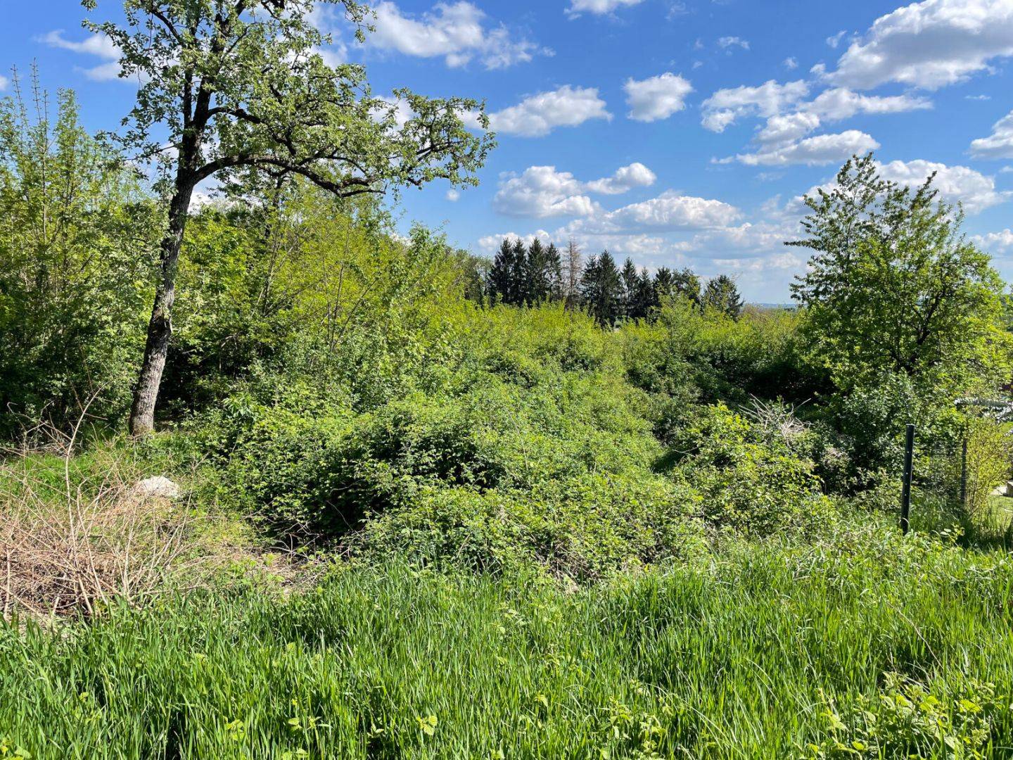 Baugrund in Aussichtslage in Altschlaining – 1618 m², voll erschlossen