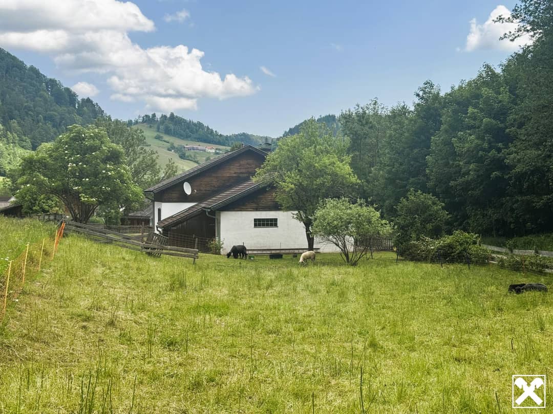Schaf und Alpaka fühlen sich hier wohl
