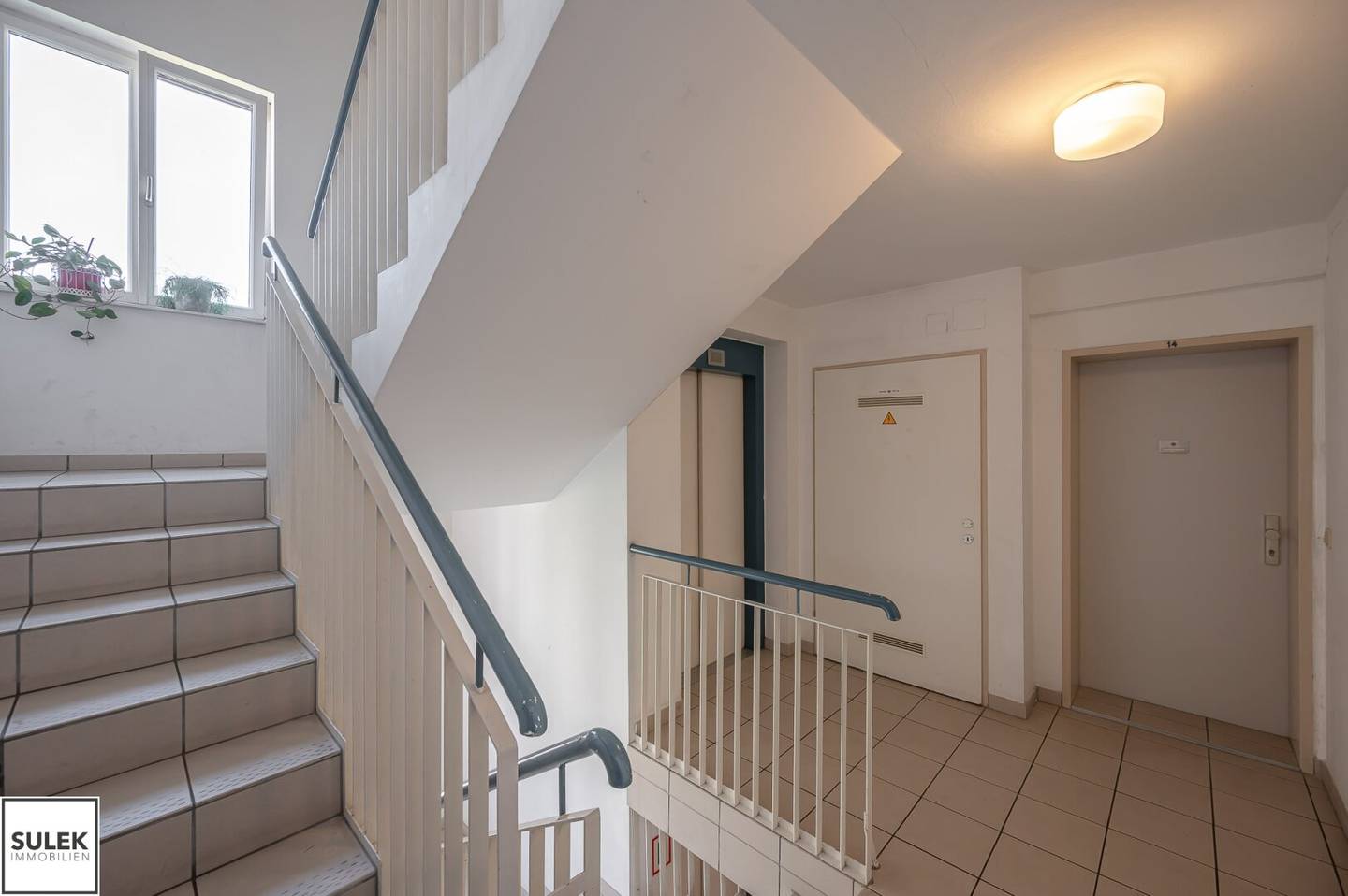 Immobilienbild 2