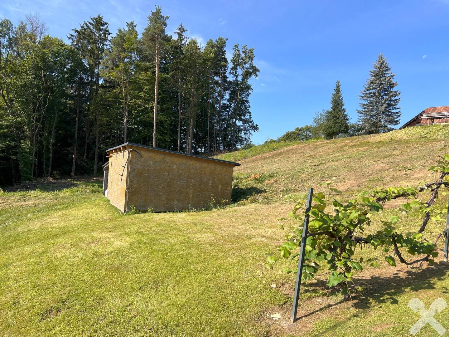 Großes, sonniges Baugrundstück in Hanglage bei Gnaning
