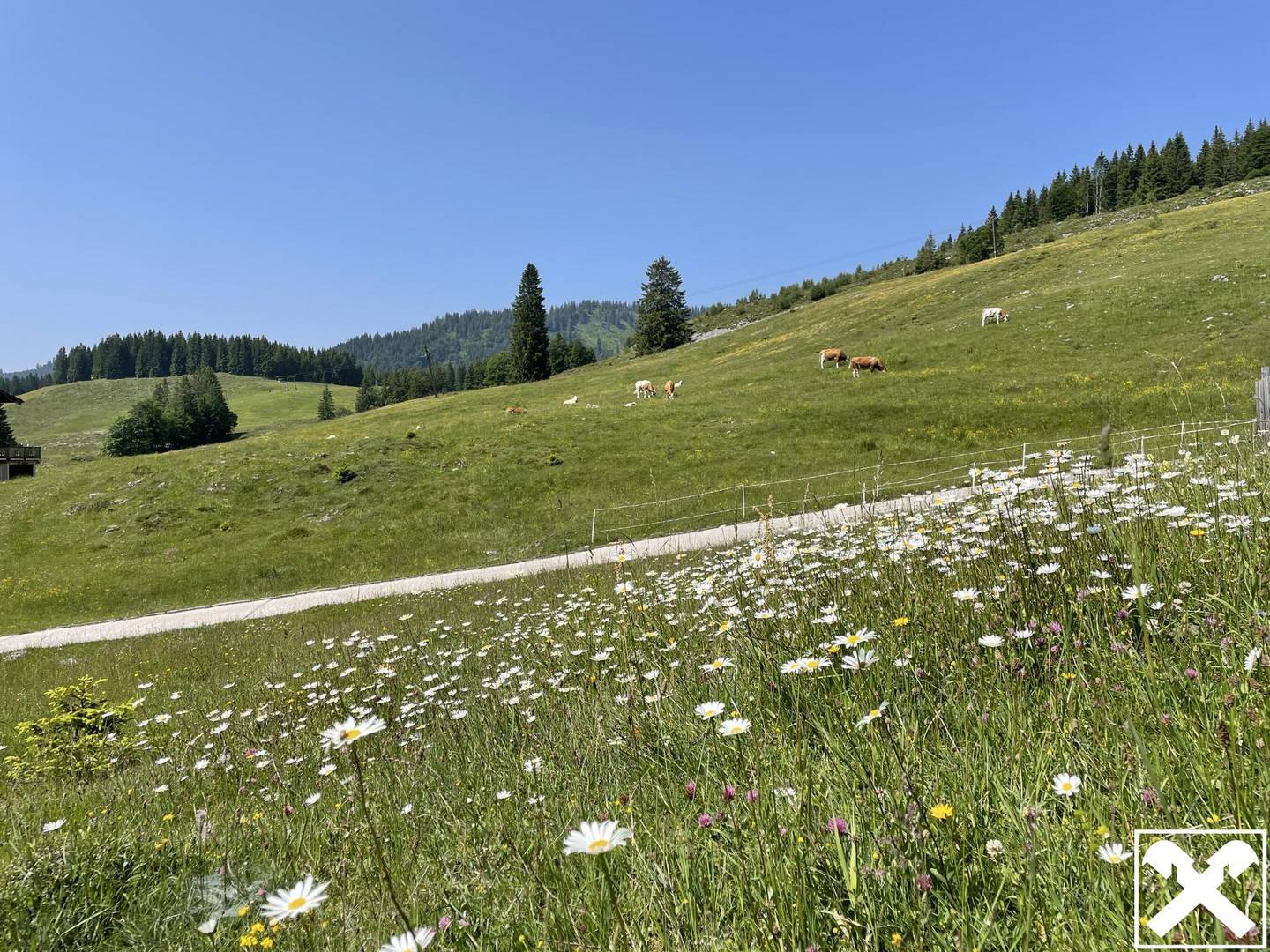 Welser Hütte auf der Postalm
