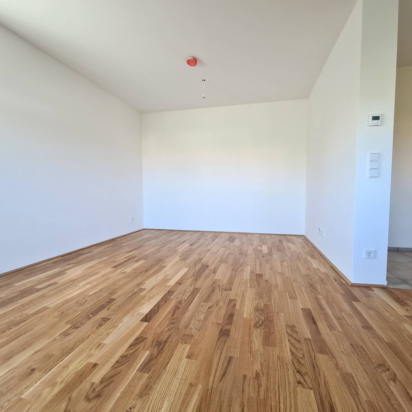 Brand new apartment in Altenberg center loggia
