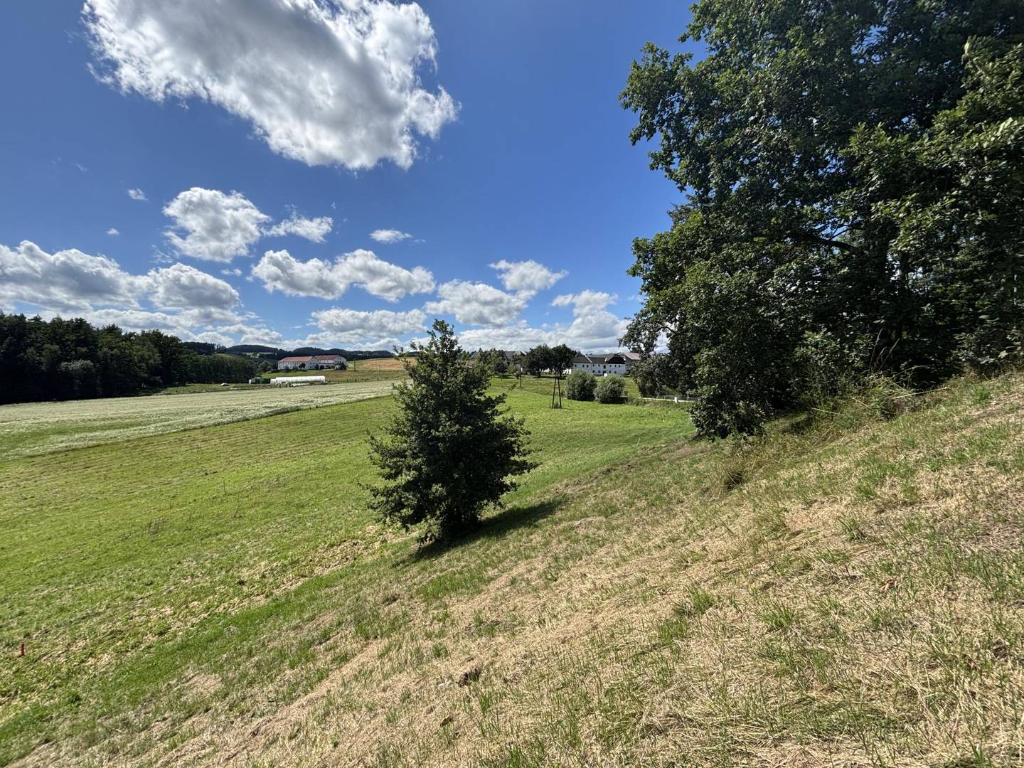 12 Baugrundstücke vor Freistadt - Größen 643-1340 m², Bauverpflichtung