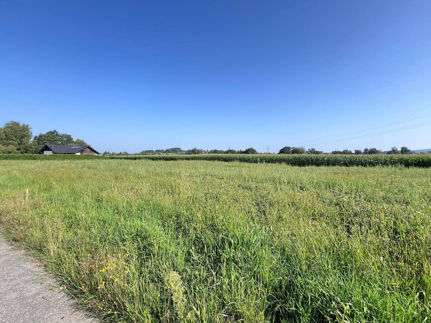 Ebener Baugrund in sonniger Ortsrandlage