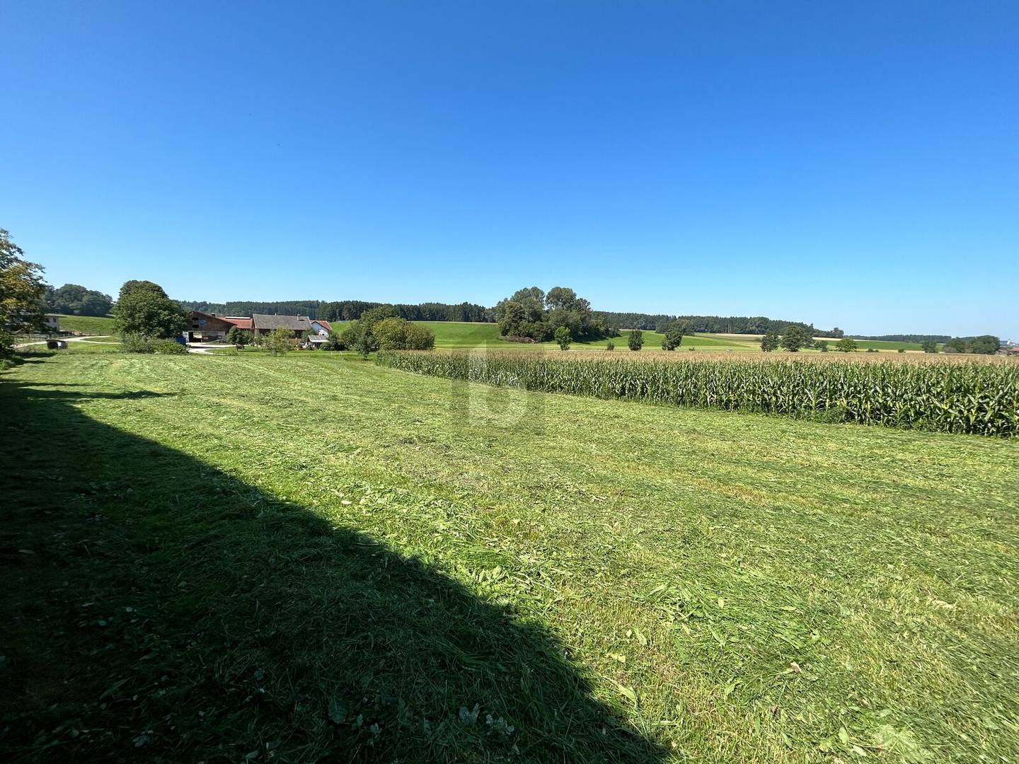 Idyllisches Baugrundstück ohne Bauzwang Anlegerwohnung