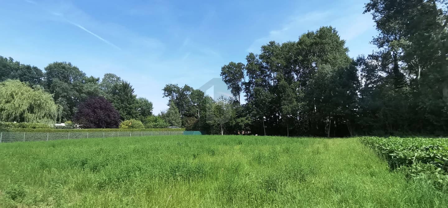 Wohnung in ruhiger Uferlage mit direktem Wasserzugang