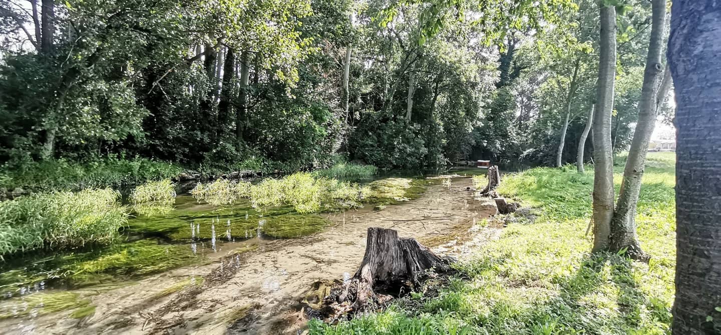Wohnung in ruhiger Uferlage mit direktem Wasserzugang