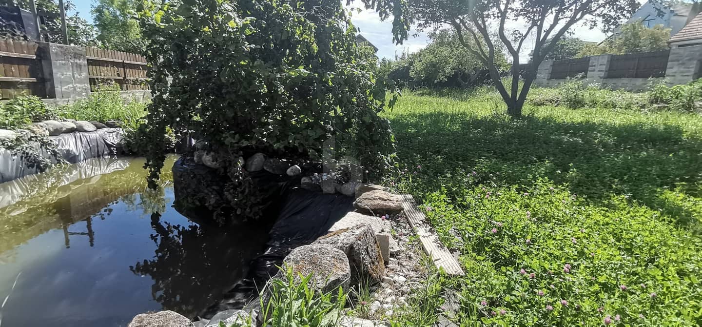 Sonniges Grundstück am Neusiedlersee Wohnung