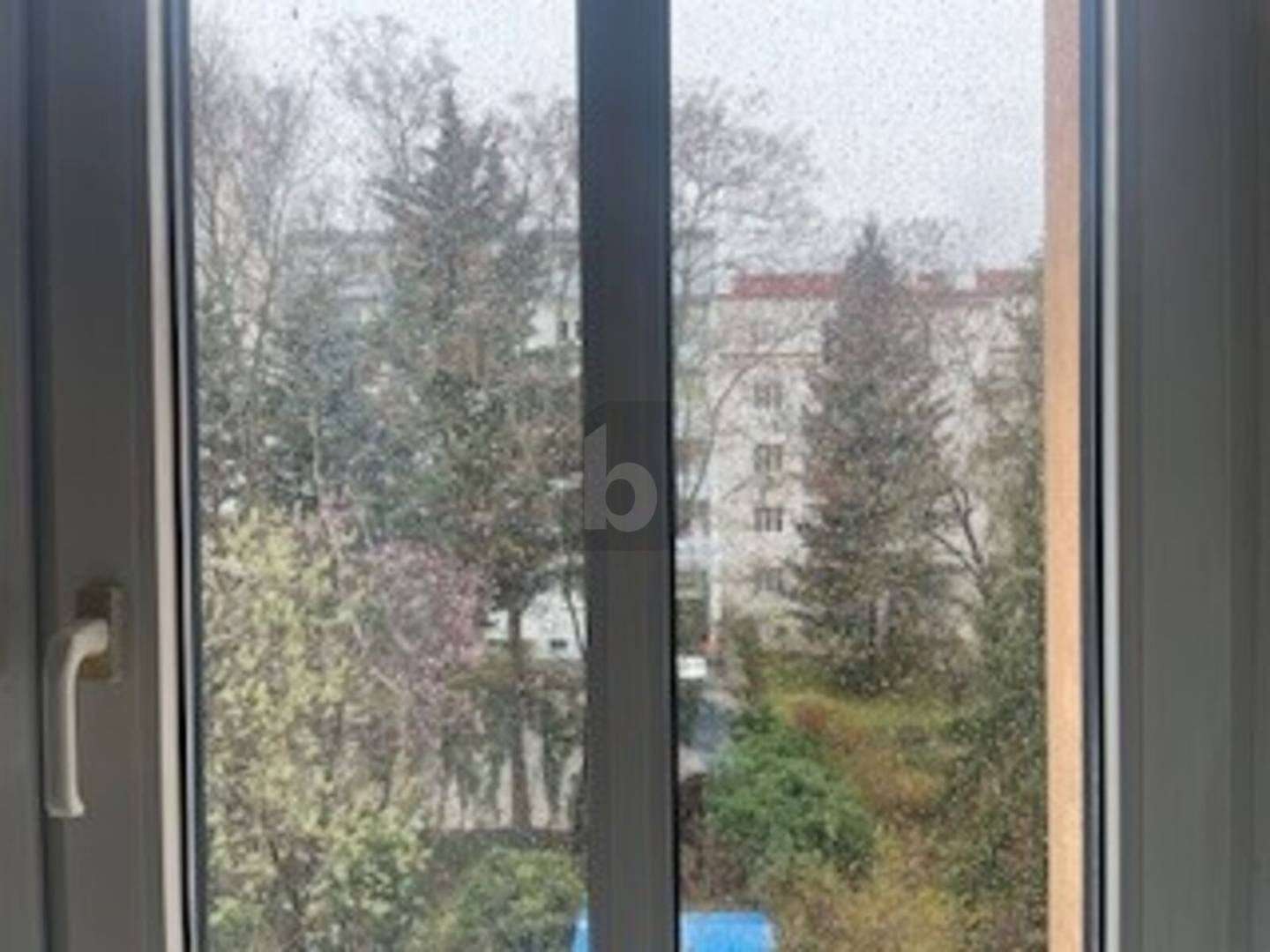 Helle Altbauwohnung mit hohen Decken in zentraler Lage