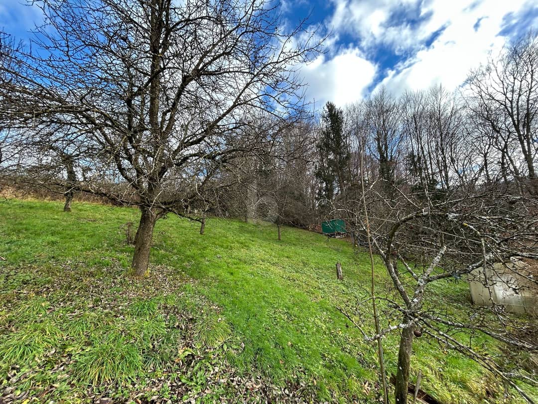 Rare plot Salzburg-Gnigl