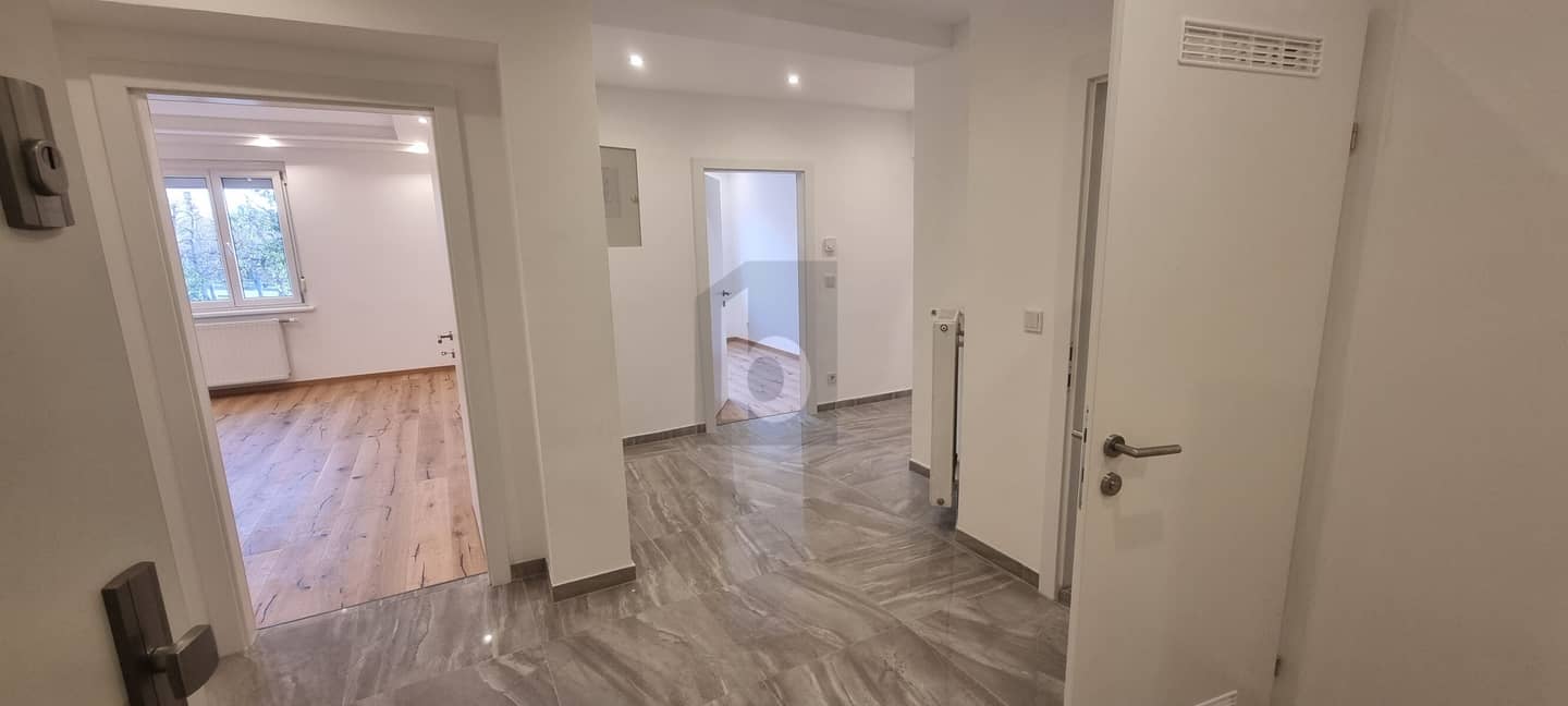 Newly renovated apartment with Augarten view