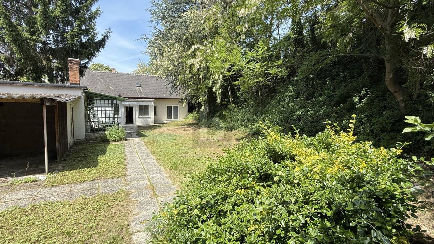 Barrierefrei renovierte Familienwohnung in ruhiger Lage