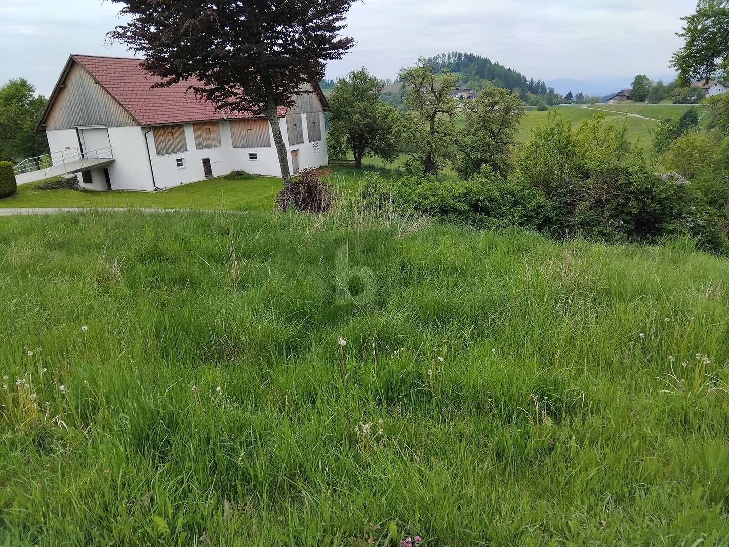 Ferienwohnung sonnig gelegen über der Nebelgrenze nahe Saualpe